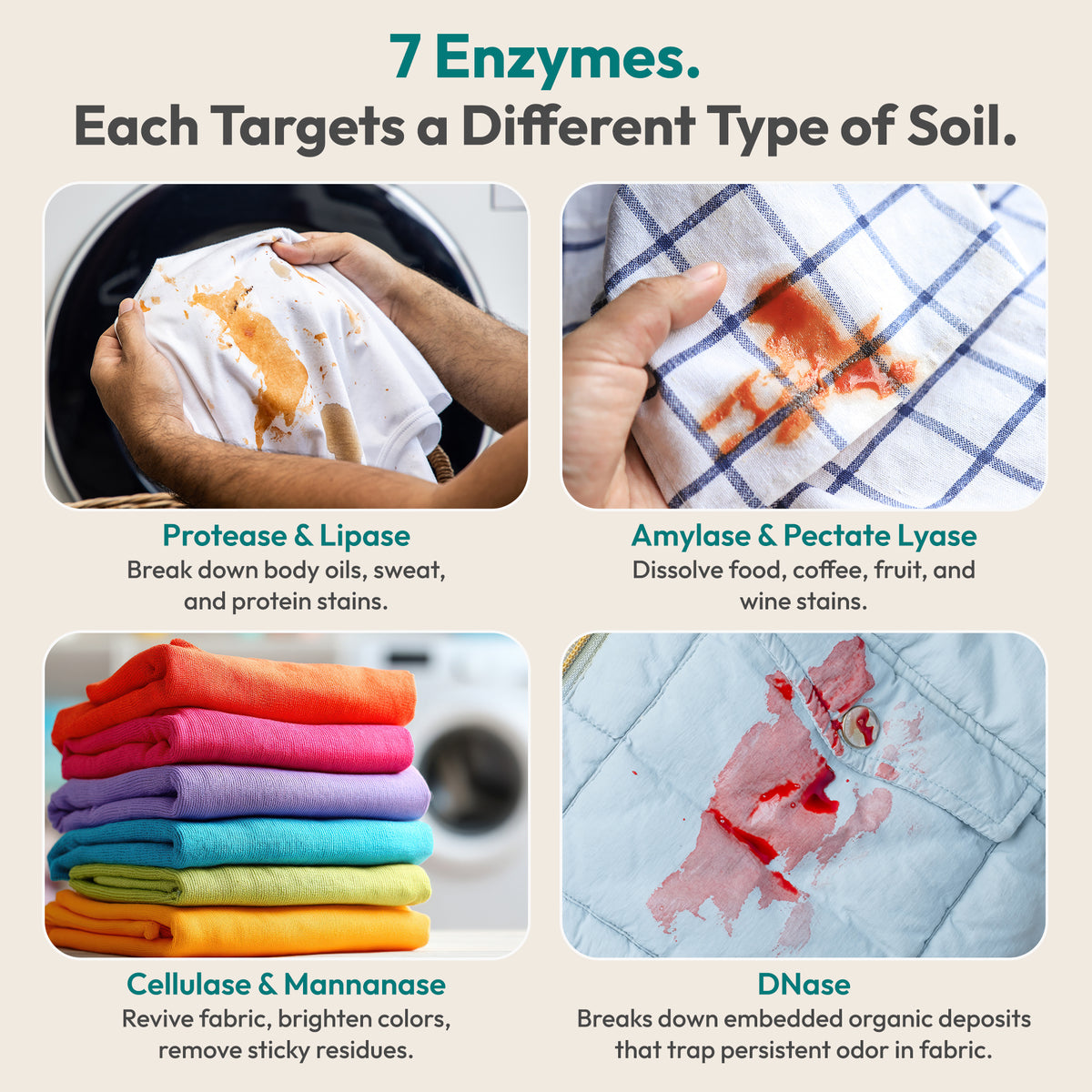 FEBU Enzyme Oxygen Laundry Booster | 7-Enzyme Laundry Odor & Stain Remover